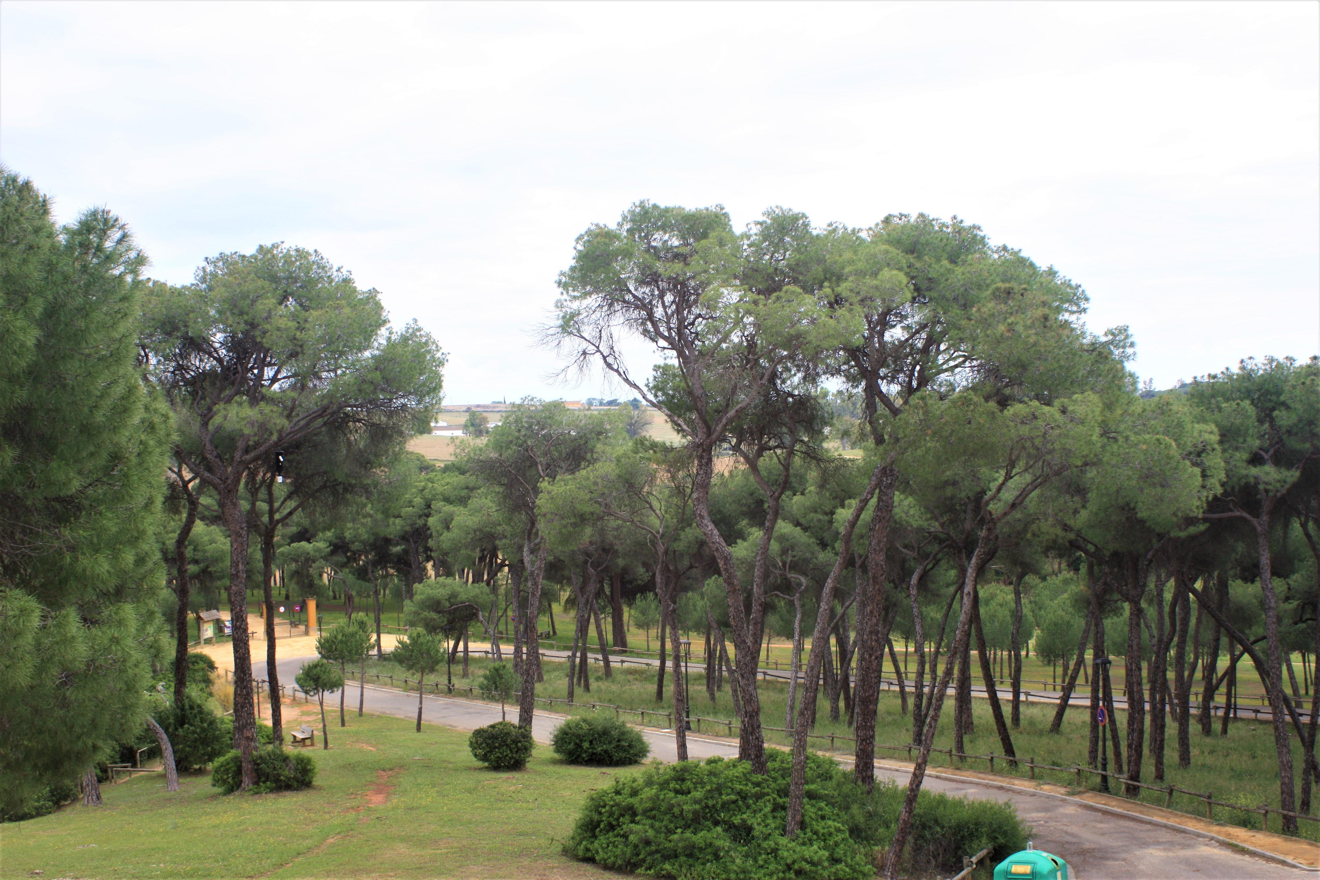Hotel Oromana Alcalá de Guadaira Kültér fotó