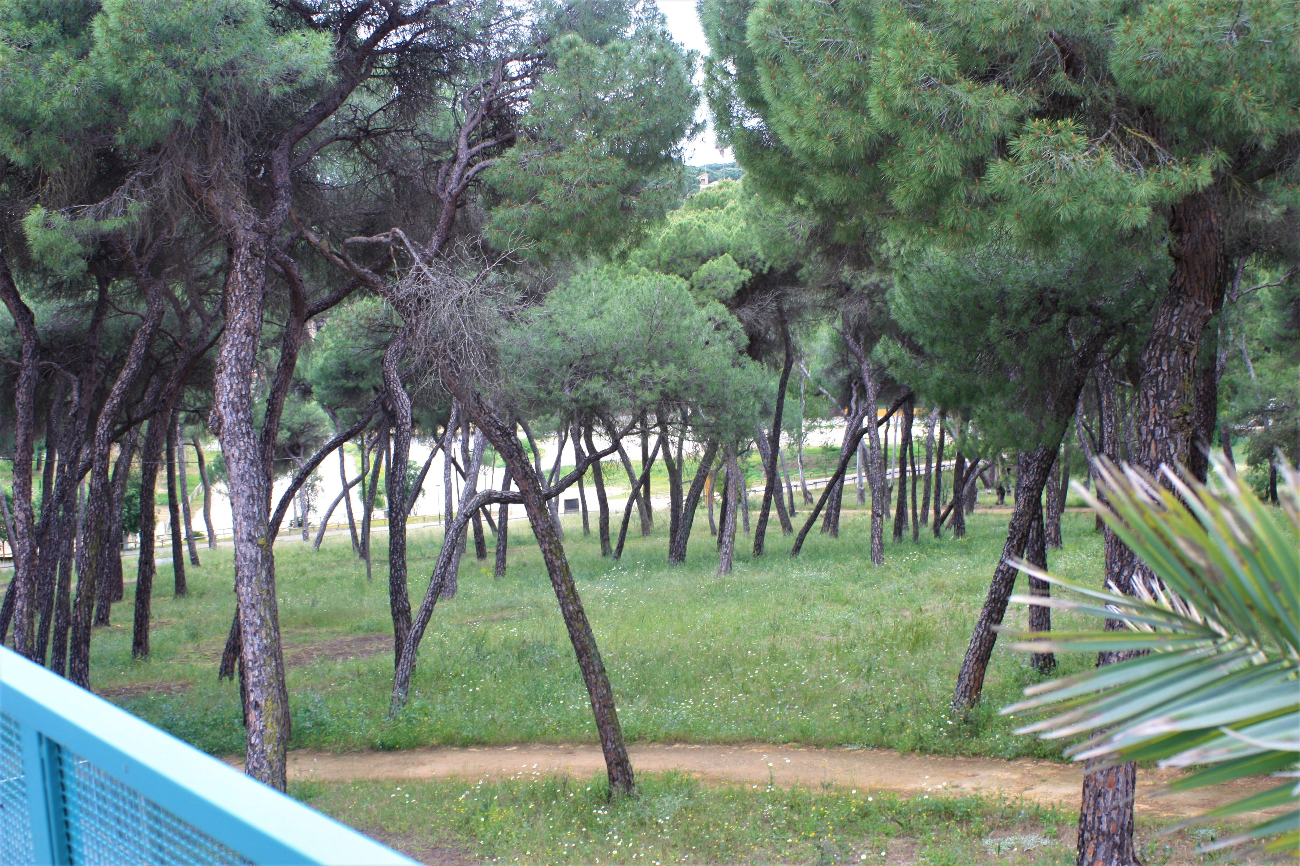 Hotel Oromana Alcalá de Guadaira Kültér fotó