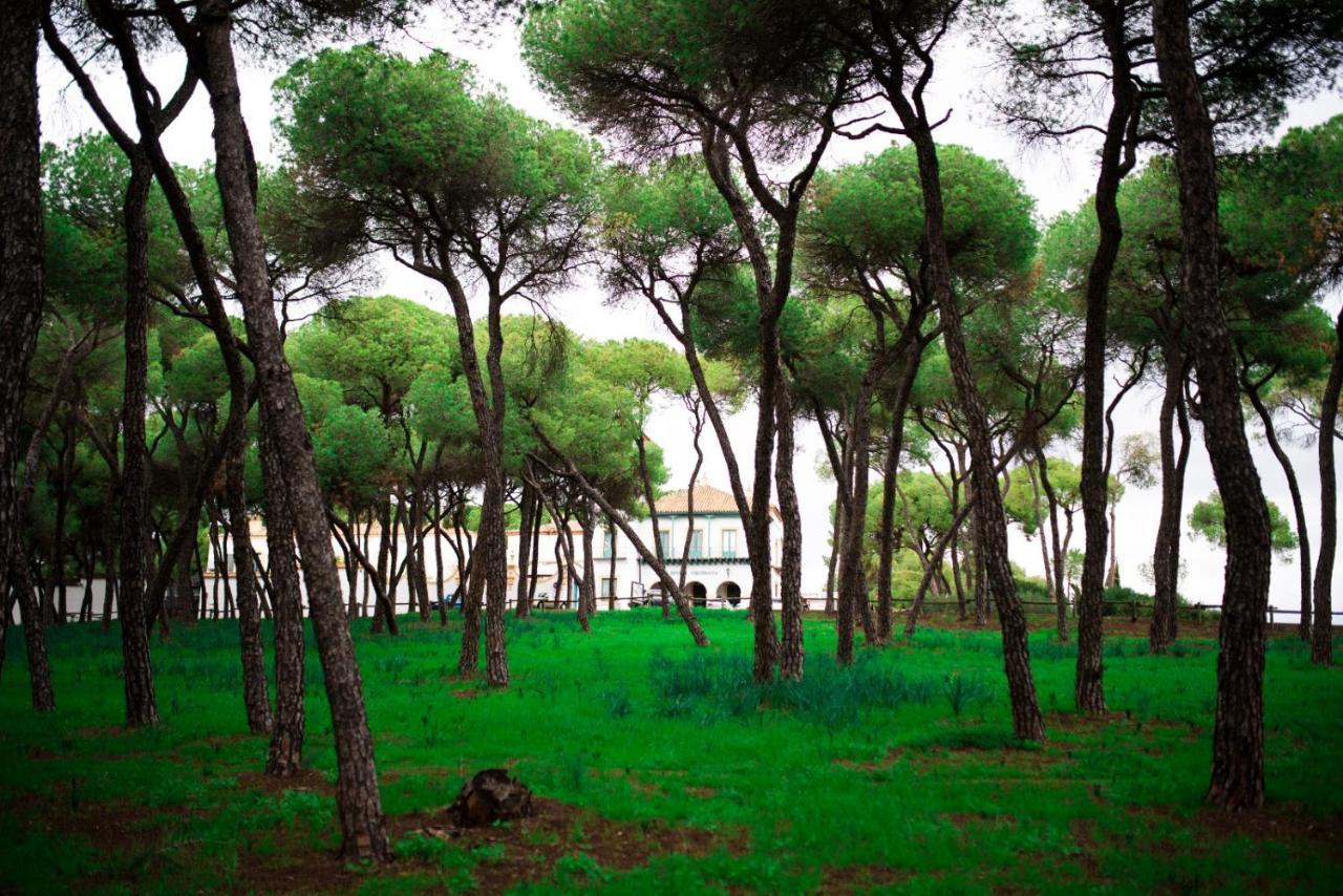 Hotel Oromana Alcalá de Guadaira Kültér fotó